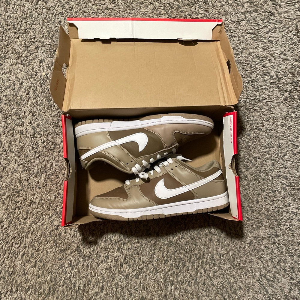 Nike Dunk Low retro